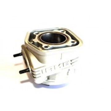 Cylinder Parilla X30 Iame