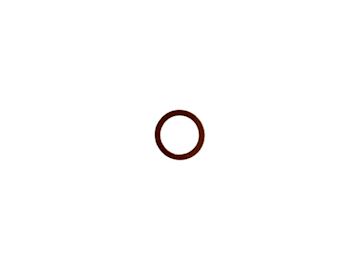 Hose connection gasket K25RL Iame