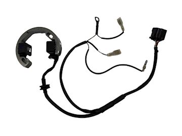 Ignition Selettra Mini-swift 60cc 2010-2016 Iame